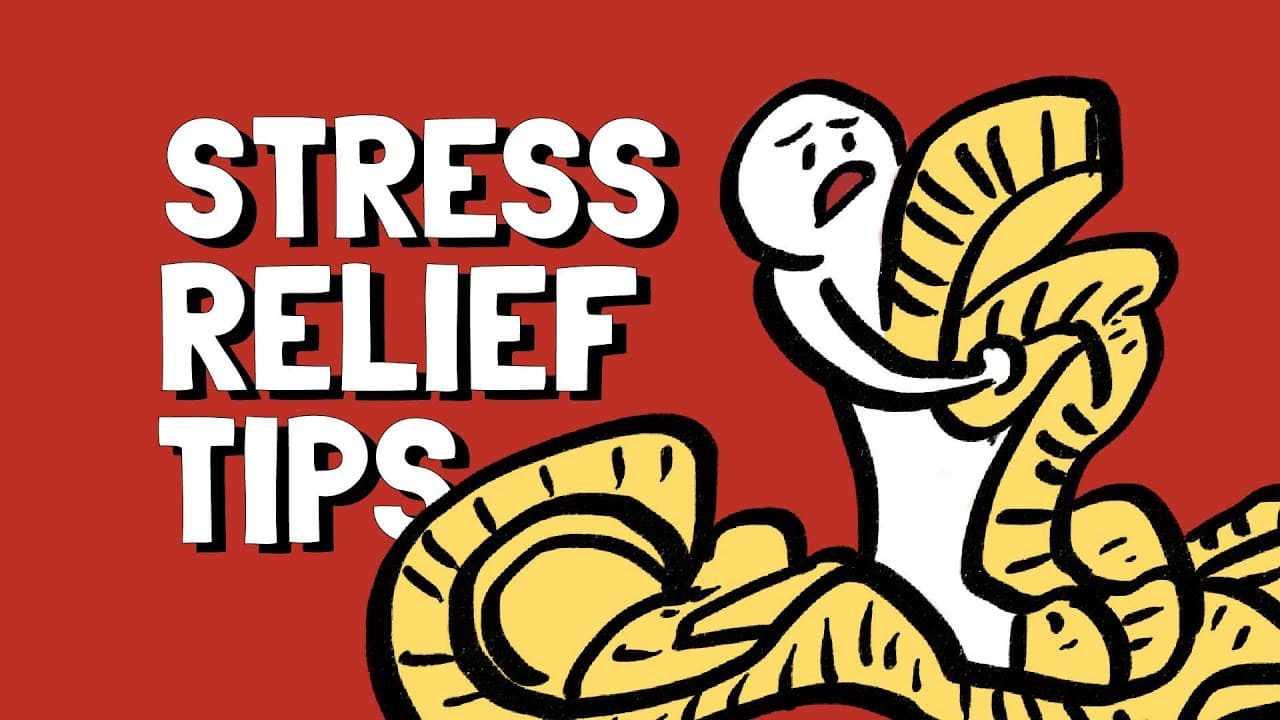83% of Workers Experience Stress: 5 Science-Backed Methods to Relieve It in 5 Minutes - watchwellcast thumbnail
